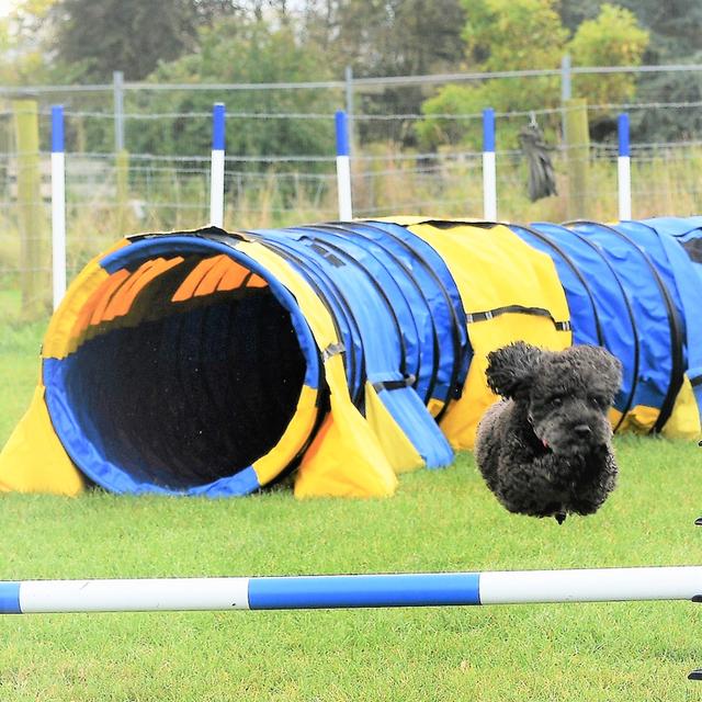 Steeplechase Course Running 11th April