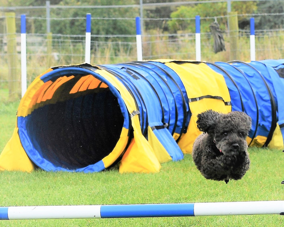 Steeplechase Course Running 11th April